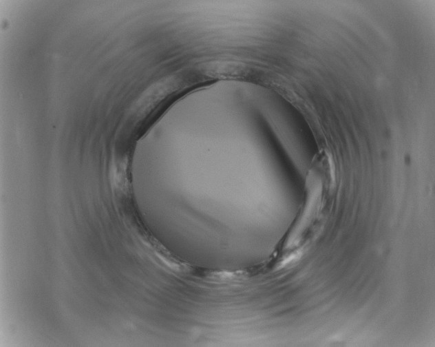 X0000073730239200608311853