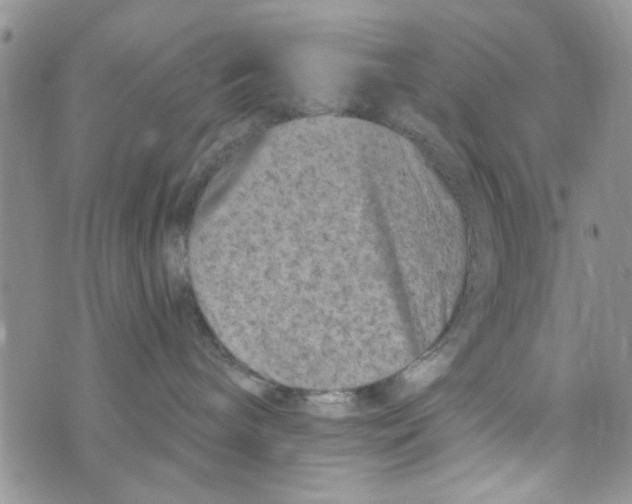 X0000073730240200608311853