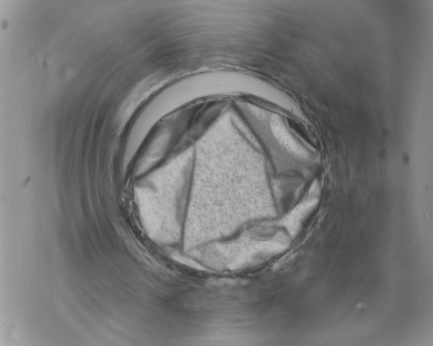 X0000073730242200608311852