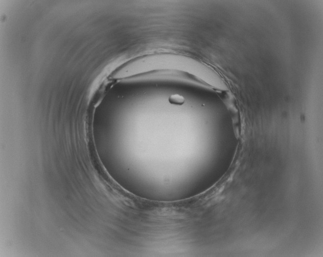 X0000073730244200608311852