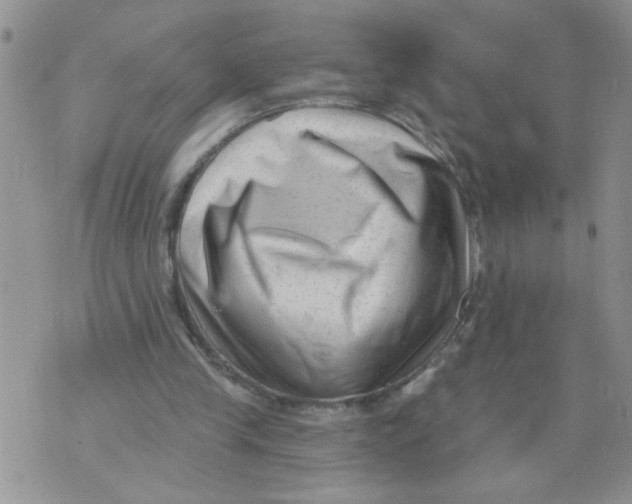 X0000073730245200608311852