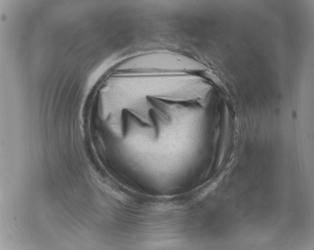 X0000073730246200608311852