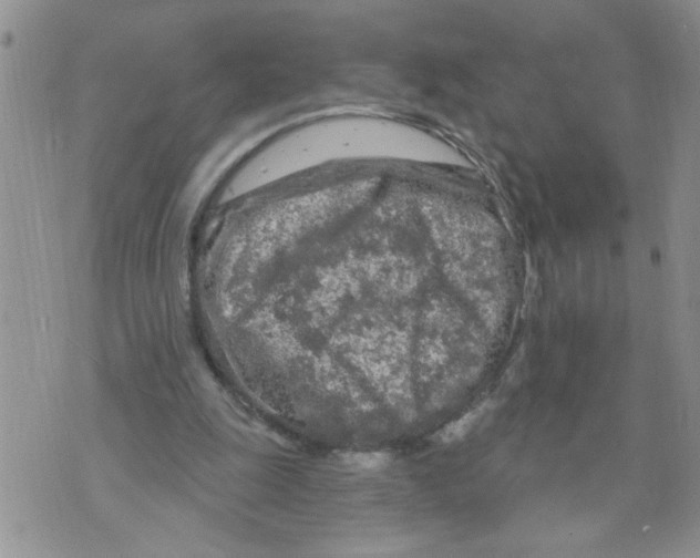 X0000073730247200608311852