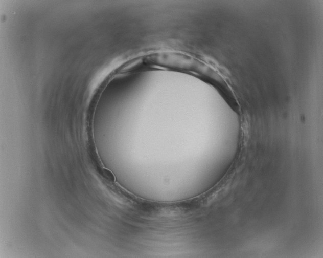 X0000073730248200608311852