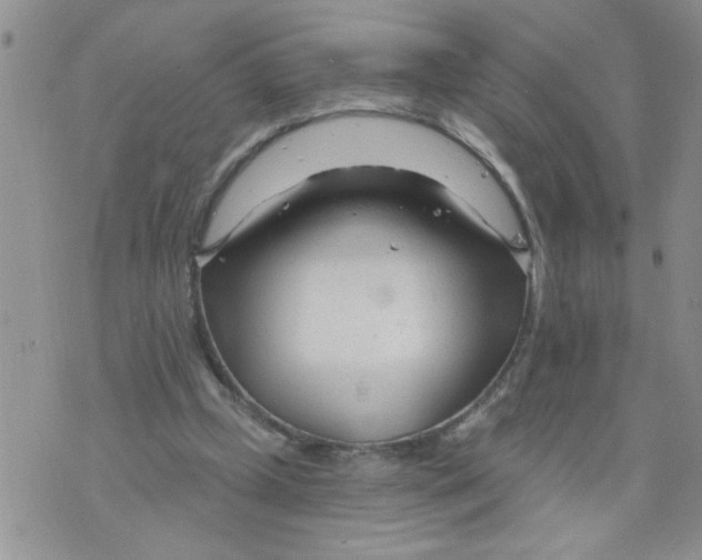 X0000073730249200608311852