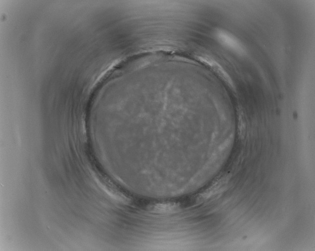 X0000073730251200608311852