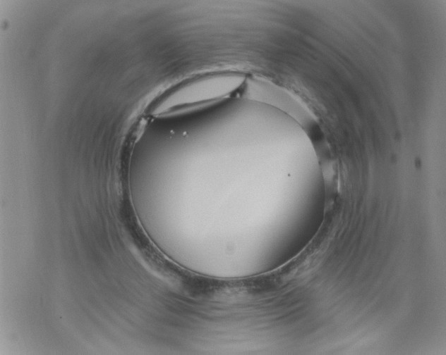 X0000073730252200608311852