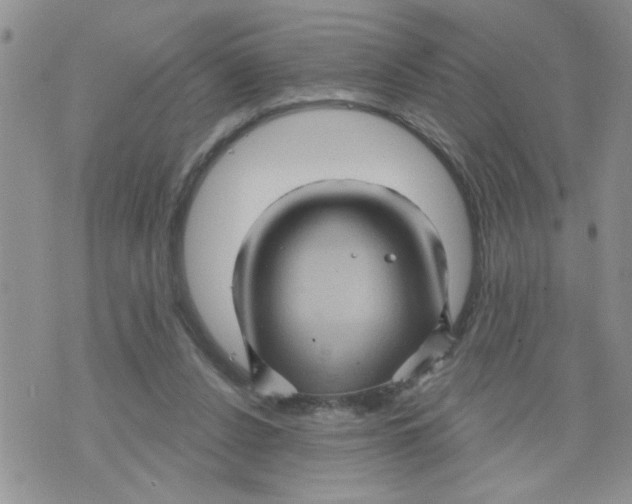 X0000073730256200608311852