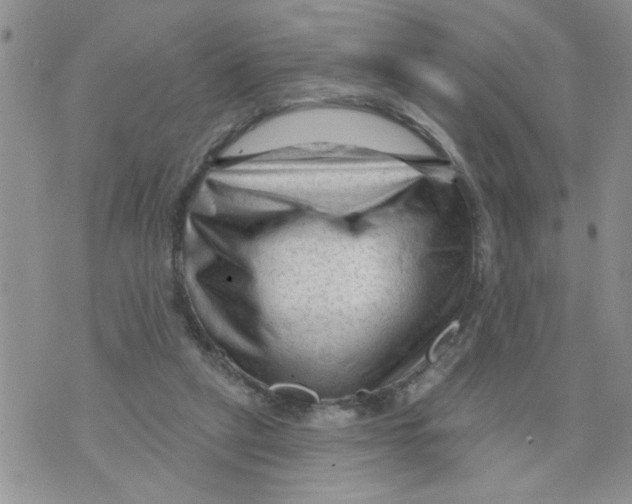 X0000073730257200608311852