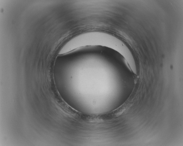 X0000073730258200608311852