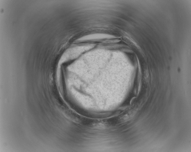 X0000073730259200608311852