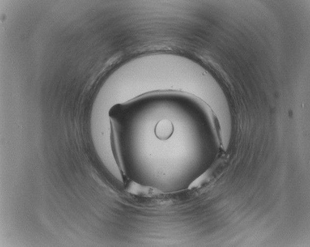 X0000073730260200608311852