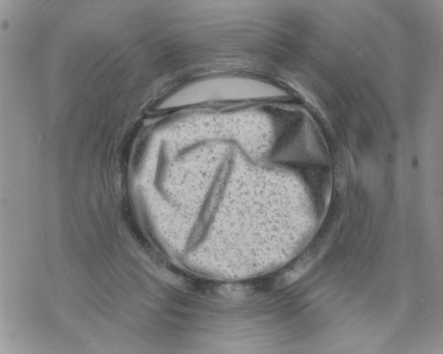 X0000073730261200608311852