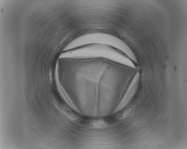 X0000073730262200608311852