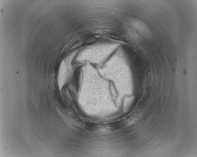 X0000073730263200608311852