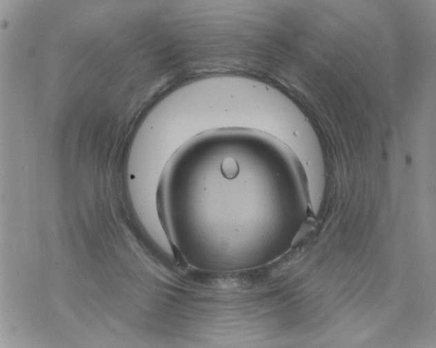 X0000073730264200608311852