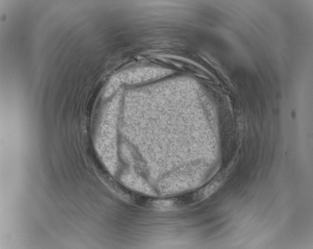 X0000073730265200608311852