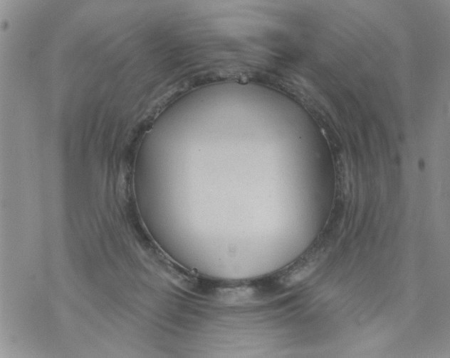 X0000073730266200608311852