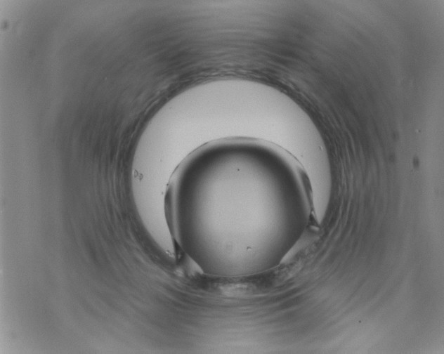 X0000073730268200608311852