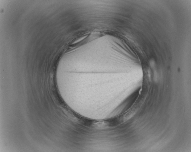 X0000073730269200608311852