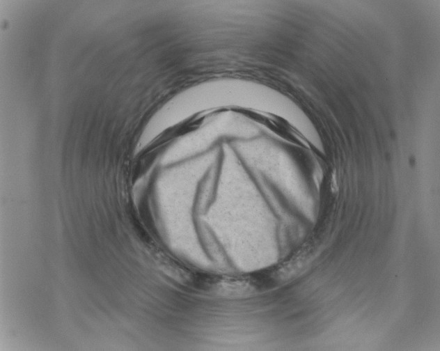 X0000073730270200608311852