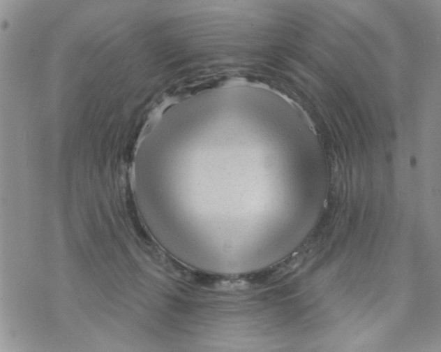 X0000073730271200608311852