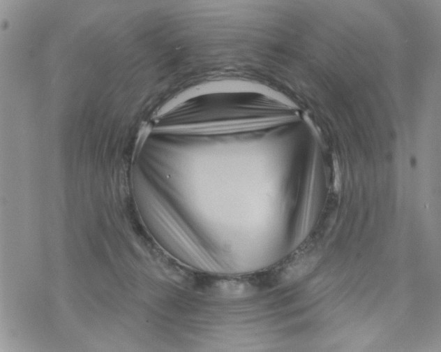 X0000073730272200608311852