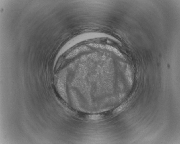 X0000073730273200608311852