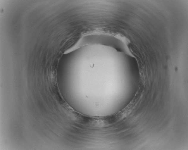 X0000073730276200608311852