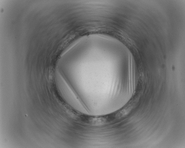 X0000073730277200608311852