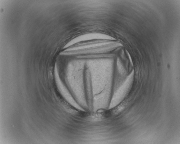 X0000073730278200608311852