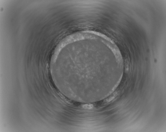 X0000073730279200608311852