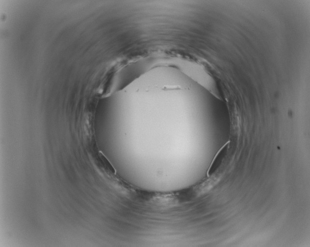 X0000073730280200608311852