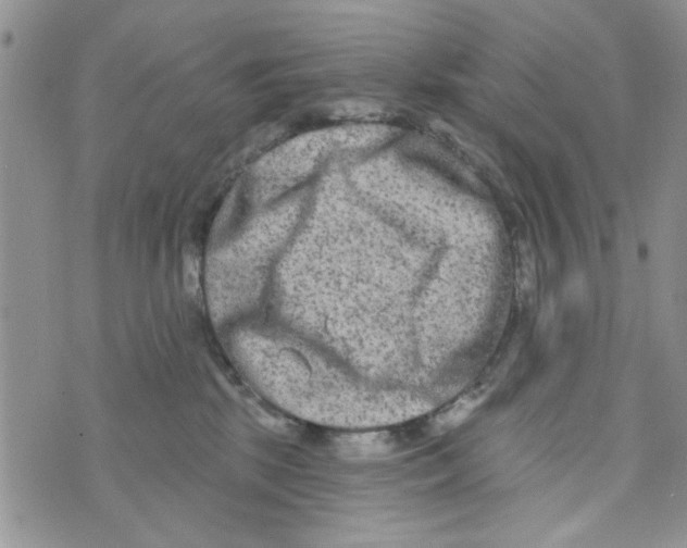 X0000073730281200608311852