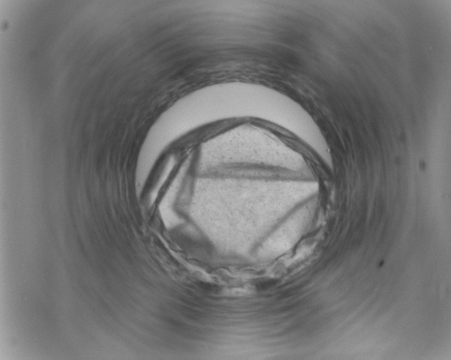 X0000073730283200608311852