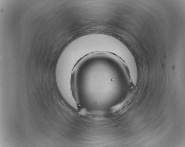 X0000073730284200608311852