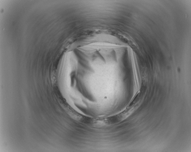 X0000073730285200608311853