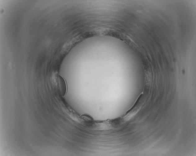 X0000073730286200608311853