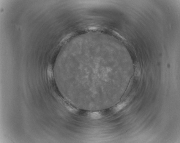 X0000073730287200608311853