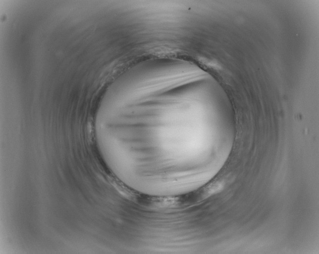 X0000073730288200608311853