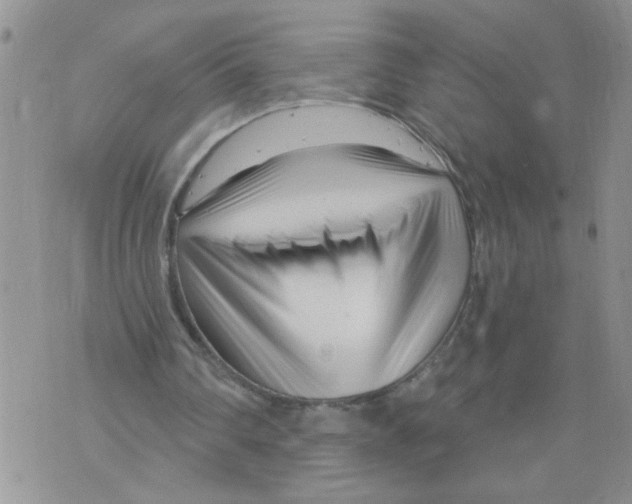 X0000073730290200608311852