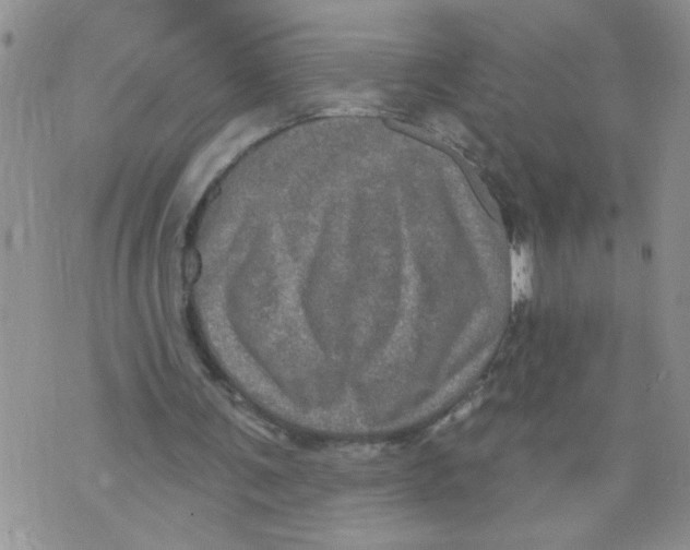 X0000073730291200608311852