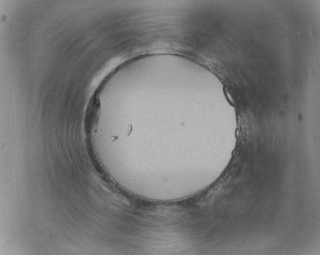 X0000073730292200608311852