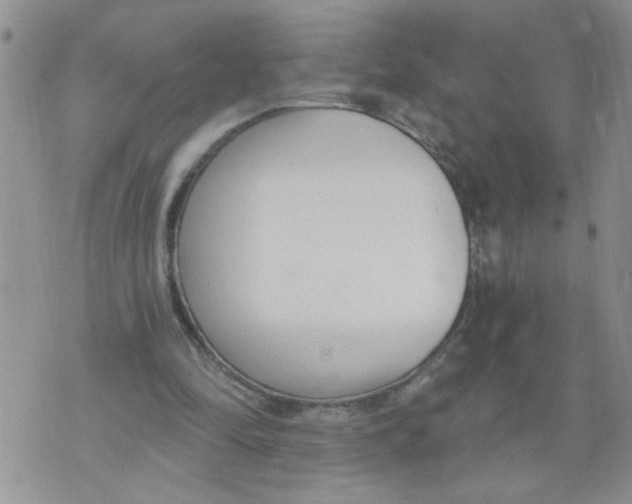 X0000073730294200608311852