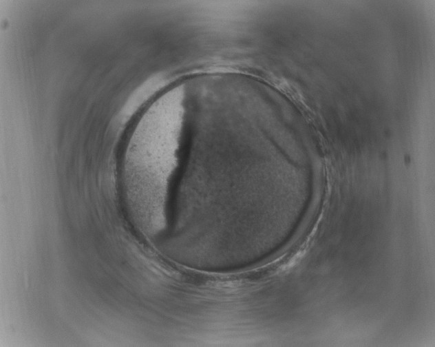 X0000073730295200608311852