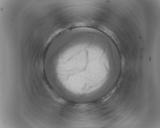 X0000073730297200608311852