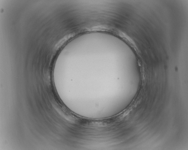 X0000073730298200608311852