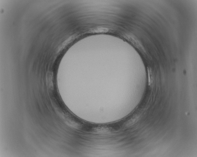 X0000073730300200608311852