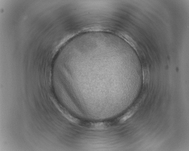 X0000073730301200608311852