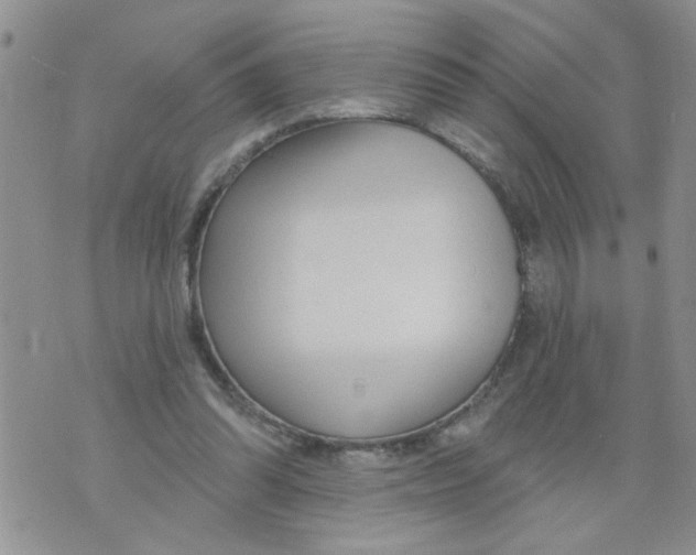 X0000073730302200608311852